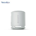 SONY XB100 WIRELESS SPEAKER OB - LIGHT GRAY